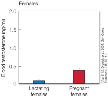 <strong>Refer to the figure. These findings most directly support the</strong> A) by-product hypothesis, in which the pseudopenis developed as a by-product of some other adaptive change that had positive fitness effects. B) extra-androgen hypothesis, which states that the female pseudopenis develops as a result of the exposure in utero to elevated androgens. C) submission hypothesis, which states that the pseudopenis signals subordination or willingness to bond with other individuals. D) social-bonding hypothesis, which states that the pseudopenis promotes the formation of cooperative coalitions.