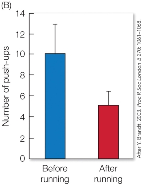 <strong>Refer to the figure. Based on these results, the push-up threat display of male side-blotched lizards is a(n)</strong> A) deceitful signal that males use to fake a greater strength than they actually possess. B) signal that other rival males eavesdrop on, thus incurring a cost to the displaying male. C) honest signal that advertises the male's fighting capacity. D) cue that transfers information but did not coevolve between the sender and receiver.