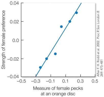 Refer to the figure. Each data point on the graph represents a population of guppies. What can be inferred from the data concerning the female guppies' interest in orange foods and the male guppies' orange coloring? State a hypothesis for why males are orange.