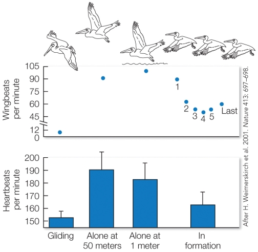 Refer to the figure. The graph represents