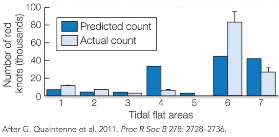 Refer to the figure. Based on these results, which habitat is most preferred by the shorebirds?