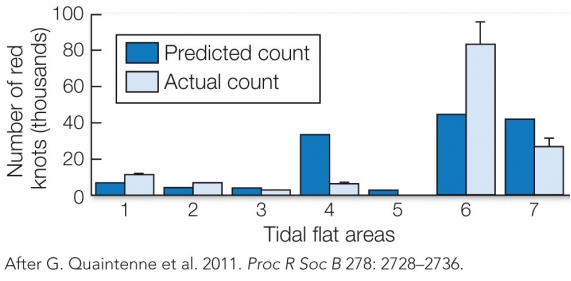 Refer to the figure. Based on the ideal free distribution theory, you may predict that