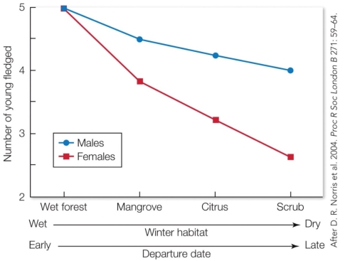 Refer to the figure. Does this result support ideal free distribution? Why or why not?