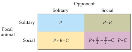 Refer to the figure. The figure shows a matrix of fitness payoffs for interactions between two behaviorally different types of gulls: those that always fish for themselves and those that sometimes steal fish from others. P stands for the baseline fitness that a gull derives when it fishes for itself. B is the fitness gained by a thief when it steals a fish from a fish-for-self type. C is the fitness cost associated with an attempt to steal a prey. What causal question is the model designed to answer?