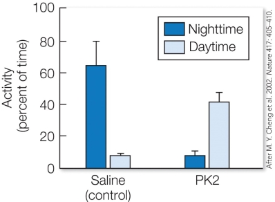 Refer to the figure. Describe an experiment to test the hypothesis that PK2 is a key clock messenger responsible for regulating circadian behaviors. Base your experiment on the results shown below, which show activity levels for rats in two treatment groups. Explain your predictions if the hypothesis is supported, and if the hypothesis is not supported. Note that rats are usually active during the nighttime, and PK2 production is normally high during the daytime and low during the nighttime.