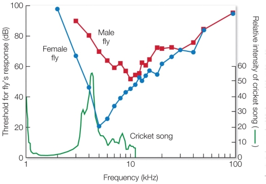 Refer to the figure. Which sound frequency (kHz) are the male flies most sensitive to?