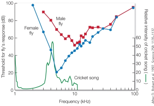 Refer to the figure. The reaction of the female fly to sounds of _______ kHz best illustrates the concept of stimulus filtering.