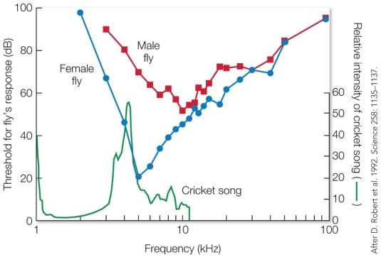 Refer to the figure. If the data collected for the graph were not gathered simply to describe the hearing abilities of the fly, then (for the biologists who did the research) the graph constitutes a
