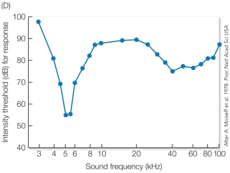Refer to the figure. Based on the information in the graph, what would you predict is the sound frequency (kHz) of ultrasonic bat calls?
