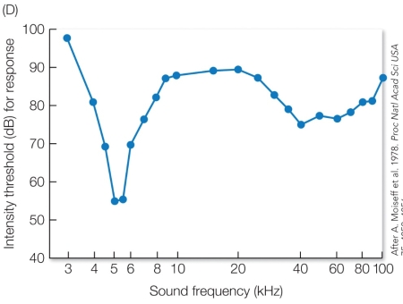Refer to the figure. Based on the information in the graph, what would you predict is the sound frequency (kHz) of male cricket calls?