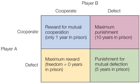 <strong>Refer to the figure. The point of the prisoner's dilemma diagram is to</strong> A) illustrate the adaptive value of cooperation between two individuals. B) show that under most circumstances, reciprocity would probably be selected against. C) predict that altruism rather than reciprocity explains why animals cooperate. D) show why reciprocity is so common and widespread in the animal kingdom.