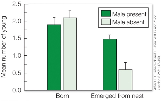 <strong>Refer to the figure. Which hypothesis for monogamy do these results best support?</strong> A) The mate limitation hypothesis. B) The mate guarding hypothesis. C) The mate assistance hypothesis. D) The infanticide hypothesis.