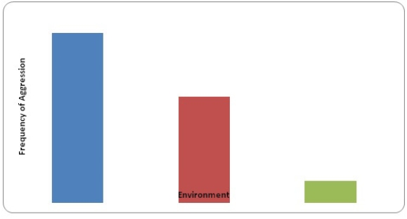 <strong>A researcher measured the aggressive behavior of genetic clones reared in three different environments and found the following results. This is an illustration of what? </strong> A) An animal personality B) Strong genetic effects on behavior C) Gene-environment interaction D) A reaction norm E) Epistasis