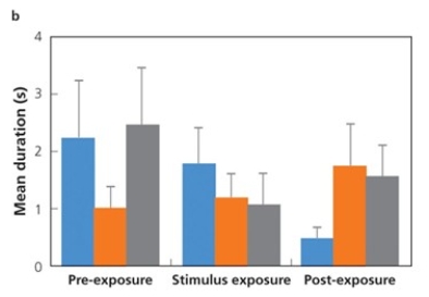 Which of the following best describes the results from this graph of mean duration of male spider chemoexplore from Uetz et al.'s research on spiders? a. There was no effect of visual cues on male behavior b. There was no effect of seismic cues on male behavior c. There was no effect of multimodal cues on male behavior d. There was no effect of any experimental treatment on male behavior