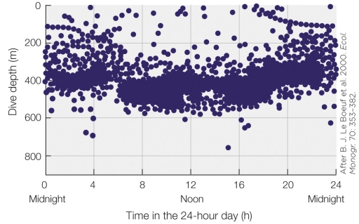 <strong>Refer to the figure shown. Which of the following is shown by the data in the figure?</strong> A) Individual dive depths from one seal over many days B) Dive depths for many seals of one species over many days C) Dive depths for one seal during one day D) Dive depths for many seals of one species during one day