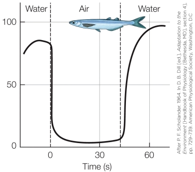 Refer to the figure shown. The data in the figure represent _______ in fish removed from water.