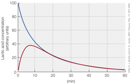 Refer to the figure shown. What would be the best label for the x-axis in the graph?
