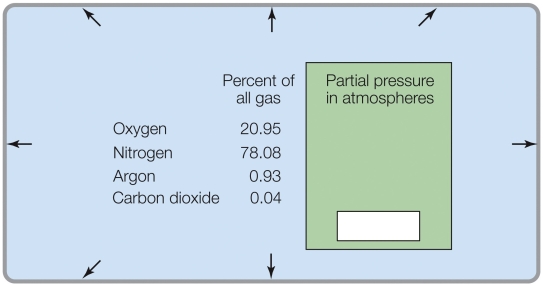 Refer to the figure shown.   If the total pressure was 0.1 atm, the percent of O<sub>2</sub> in the gas mixture would be _______%.