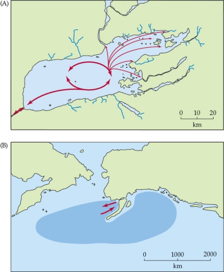 Refer to the figure shown.   Panel A illustrates