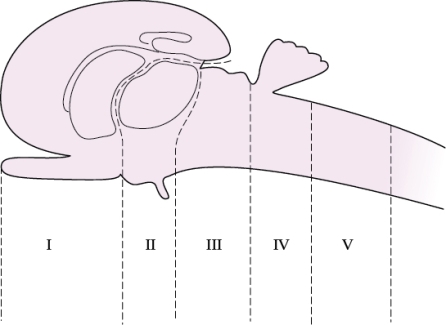 Refer to the figure shown. Which number in the figure best corresponds to the area of the brain responsible for learning and memory?