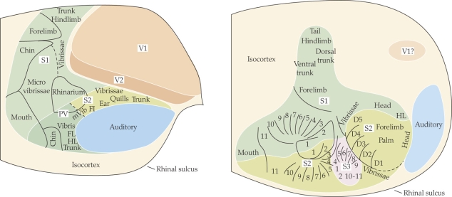 Refer to the figure shown. Which statement about the figure is true?