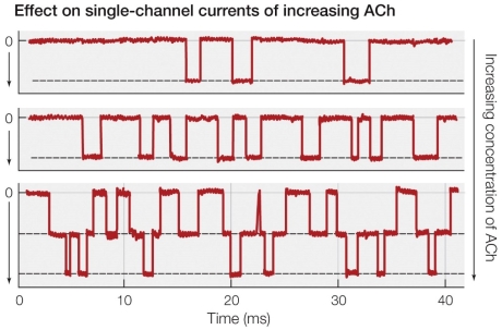 Refer to the figure shown. What technique is being used to collect the data presented?