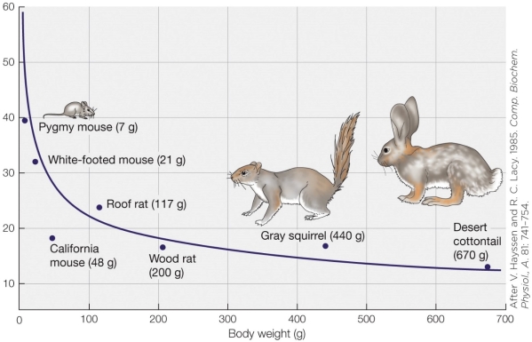 Refer to the figure. What would be the best label for the y axis?