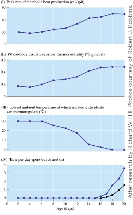 Refer to the graphs shown. What contributes most significantly to the data shown in figure II?