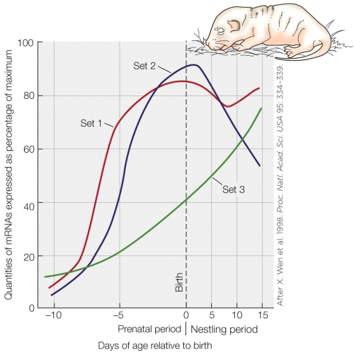 <strong>Refer to the figure shown. The figure shows measurements of</strong> A) the onset of thermoregulation. B) organ development. C) gene transcription. D) enzyme upregulation.