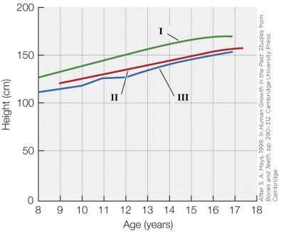 Refer to the figure shown. In the figure, one of the lines tracks the height in a population of medieval children. These measurements were derived