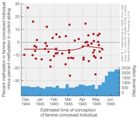 Refer to the figure shown. Children born during the Dutch Hunger Winter had _______ compared to their siblings.