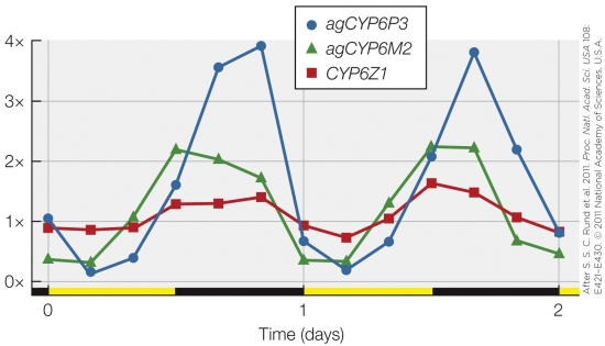 <strong>Refer to the figure shown. The figure is based on the measurement of</strong> A) proteins. B) metabolites. C) mRNA. D) DNA.
