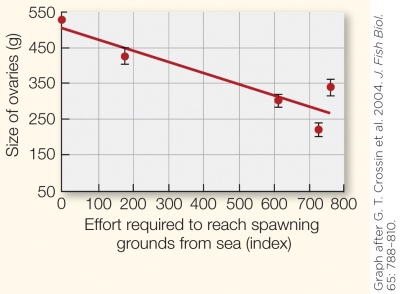 <strong>Refer to the figure shown. The data in the graph would be relevant to which subdiscipline of physiology?</strong> A) Evolution B) Cell physiology C) Morphology D) Ecology