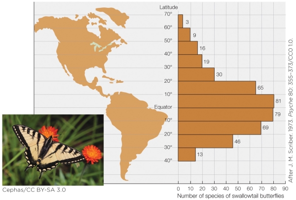 <strong>Refer to the figure shown. This figure shows that</strong> A) the number of butterfly species increases as one moves toward the equator. B) butterfly populations are larger near the equator than at any other latitude. C) the number of butterfly species increases as latitude increases. D) the butterfly population increases as latitude increases.