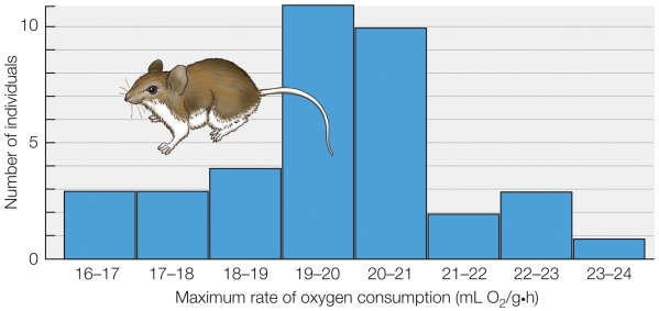 <strong>Refer to the figure shown. Which technique for the study of adaptation was used to generate the data shown in the figure?</strong> A) Studies of laboratory populations over many generations B) Single-generation studies of individual variation C) Creation of variation for study D) Studies of genetic structures of natural populations