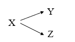 <strong>According to the theoretical model: </strong> A) the inferred causal relationship between Y and Z is weak. B) X is an intervening variable. C) X affects Y and Z, but there is no causal relationship between Y and Z. D) Y and Z are independent of X.