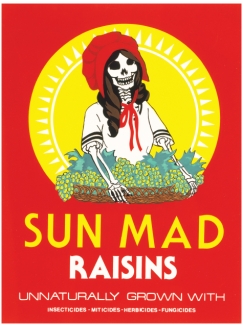 and contrast Ester Hernandez's Sun Mad (figure 7.33) with Käthe Kollwitz's Die Witwe I (The Widow I) (figure 7.15) in terms of the colors, lines, designs, surface qualities, and messages. Considering these characteristics, how do these works of art show why printmaking is ideal for sharing images and ideas with large masses of people?