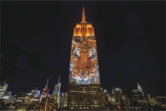 Louie Psihoyos's and Travis Threlkel's Projecting Change: Empire State Building (figure 1.47) projected numerous animals at risk for extinction onto the Empire State Building in New York. Considering all of the ways that art matters, including that it is a central part of our lives, a strongly supported endeavour, a benefit to society, and a basis of power, how does this work show that art matters?