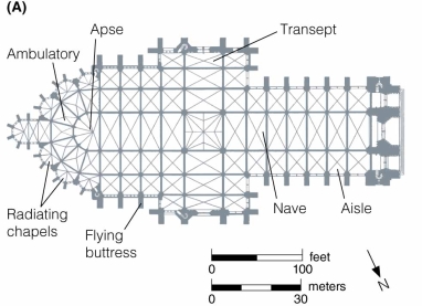 Old St. Peter's (figure 14.6A and B) with Amiens Cathedral (figure 14.21A and B). What architectural elements have stayed the same? Which have changed?