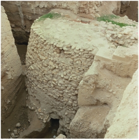 <strong> The tower from Jericho (figure 13.9) is an example of Neolithic people:</strong> A) Being organized for important tasks B) Using post-and-lintel construction C) Having religion D) Specializing