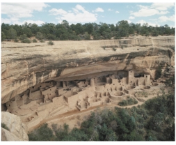 Frank Lloyd Wright's Fallingwater (Edgar Kaufmann Residence) (figure 12.23) with the Ancestral Puebloan Cliff Palace (figure 12.9), considering how both structures take their environments into consideration and how both have forms that follow their functions.