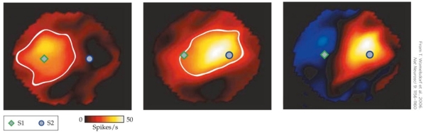 <strong>Refer to the figure. There are three possible ways attention might affect single-cell recordings. Which way is demonstrated by the experiment whose results are illustrated in the figure?</strong> A) Attention has globally enhanced the cell's receptive field. B) Attention has sharpened the tuning of this cell's receptive field. C) Attention has not affected this neuron because both stimuli are in its receptive field. D) Attention has shifted the tuning of this cell's receptive field.