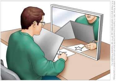 <strong>Refer to the figure. H.M.'s performance on the memory task represented by the figure demonstrated that</strong> A) he was incapable of acquiring any new memories. B) there are two basic kinds of memory: episodic and semantic. C) he could confabulate to cover for his deficits. D) there are two different kinds of memory: procedural and declarative.