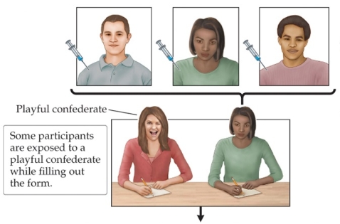 <strong>Refer to the figure.   Based on the findings of Schachter's cognitive attribution model, the people shown receiving the injection of epinephrine are likely to report feeling _______ after filling out the form.</strong> A) confused B) elated C) annoyed D) frightened <div style=padding-top: 35px> 