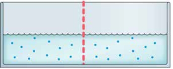 <strong>Refer to the figure.   The two chambers in the figure are separated by a semipermeable membrane. What will happen to the fluid levels if salt is added to the left chamber?</strong> A) The solute concentration of the left chamber will increase, but the liquid levels will not change. B) The difference in solute concentration will push salt and water molecules through the membrane until the concentrations are equivalent, which will overcome gravity and result in a higher level of fluid in the right chamber. C) If enough salt is added, the difference in solute concentration will push salt molecules through the membrane until the osmotic pressure is less extreme, but the liquid levels will not change. D) Water molecules from the right chamber will pass through the membrane until the ratio of water to salt is the same in both chambers, resulting in a higher level of fluid in the left chamber, despite gravity. <div style=padding-top: 35px> 