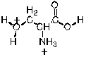 <strong>Given the following pK's what is the principal form of serine at pH 5? PK<sub>a1</sub> = 2.21 pK<sub>a2</sub> = 9.15 pK<sub>R</sub><sub> </sub> = 13</strong> A) B) C) D) E)