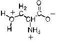 <strong>Given the following pK's what is the principal form of serine at pH 5? PK<sub>a1</sub> = 2.21 pK<sub>a2</sub> = 9.15 pK<sub>R</sub><sub> </sub> = 13</strong> A) B) C) D) E)