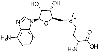 Identify the following molecule. What is its metabolic role?