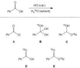 <strong>For the following reaction, pick out the major product: </strong> A) A B) B C) C D) D E) E