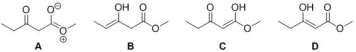 <strong>Identify the major enol of methyl 3-oxopentanoate. </strong> A) A B) B C) C D) D